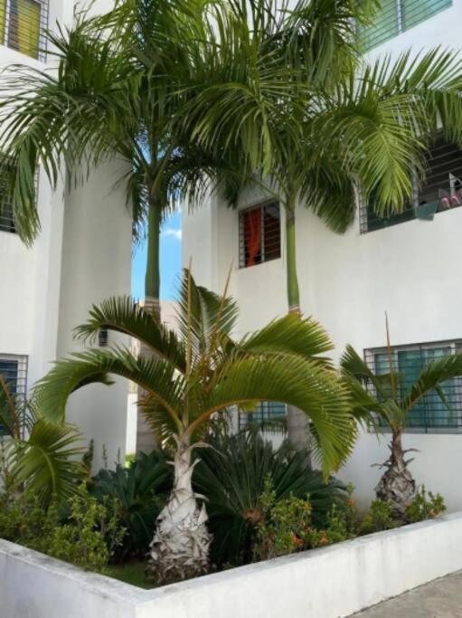 Comodas 3 Hab Con Piscina, Wifi 1Er Nivel Santiago De Los Caballeros Exterior photo